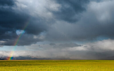 High Heat and High Stakes: Why July is the Ultimate Test for Farm/Ag Insurance