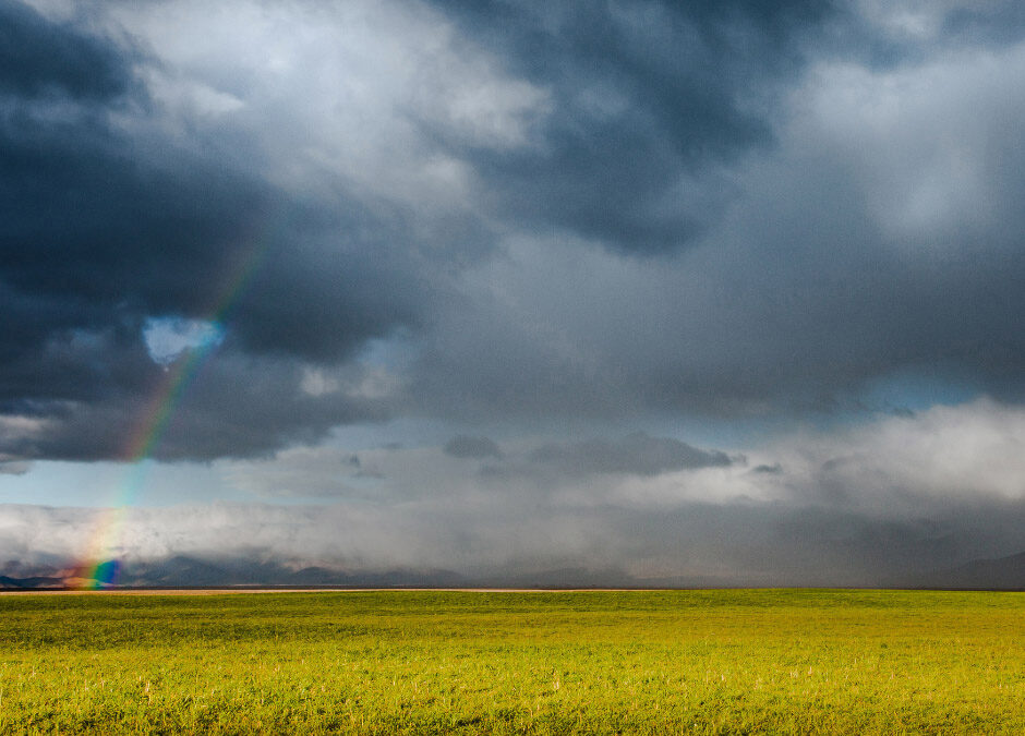 High Heat and High Stakes: Why July is the Ultimate Test for Farm/Ag Insurance